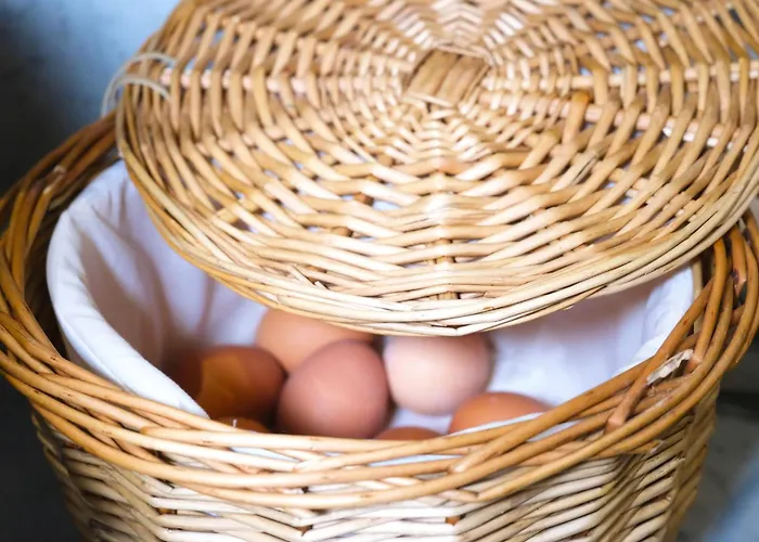 Stargaze Forum Duesseldorf-hilden ホテル